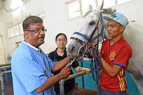 Services  Selangor Turf Club