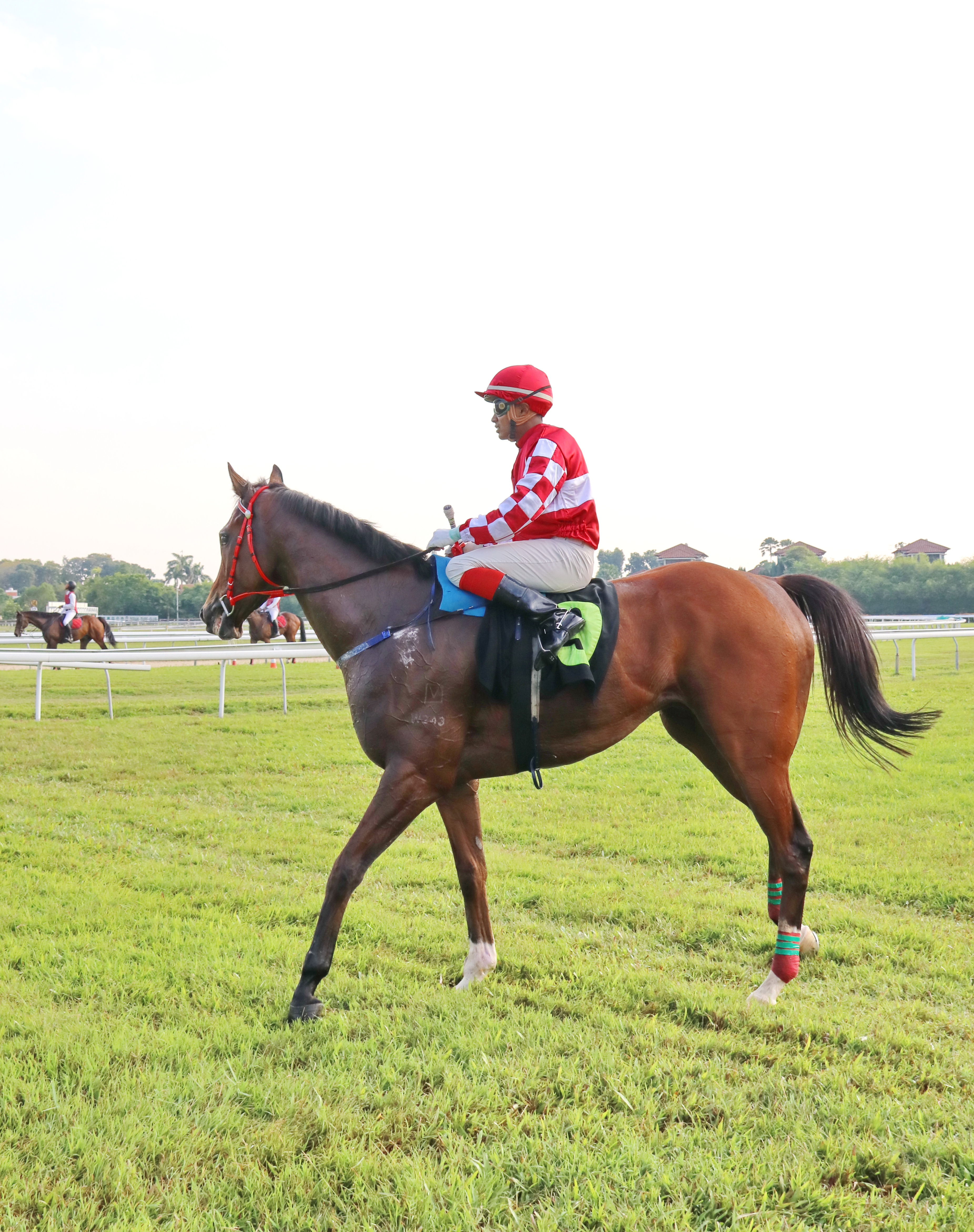 ARCHER COMPANY  Selangor Turf Club