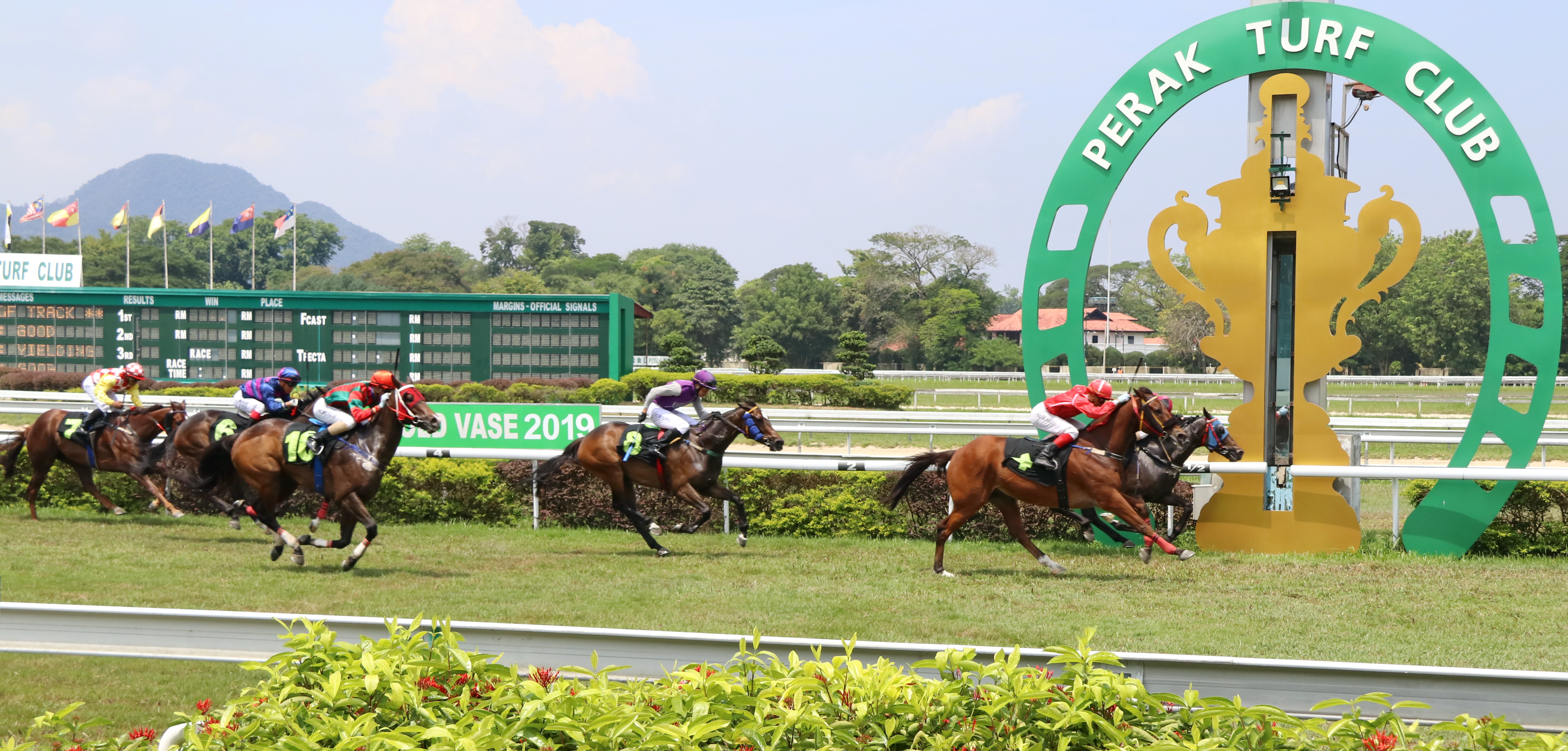 ARECIBO  Selangor Turf Club