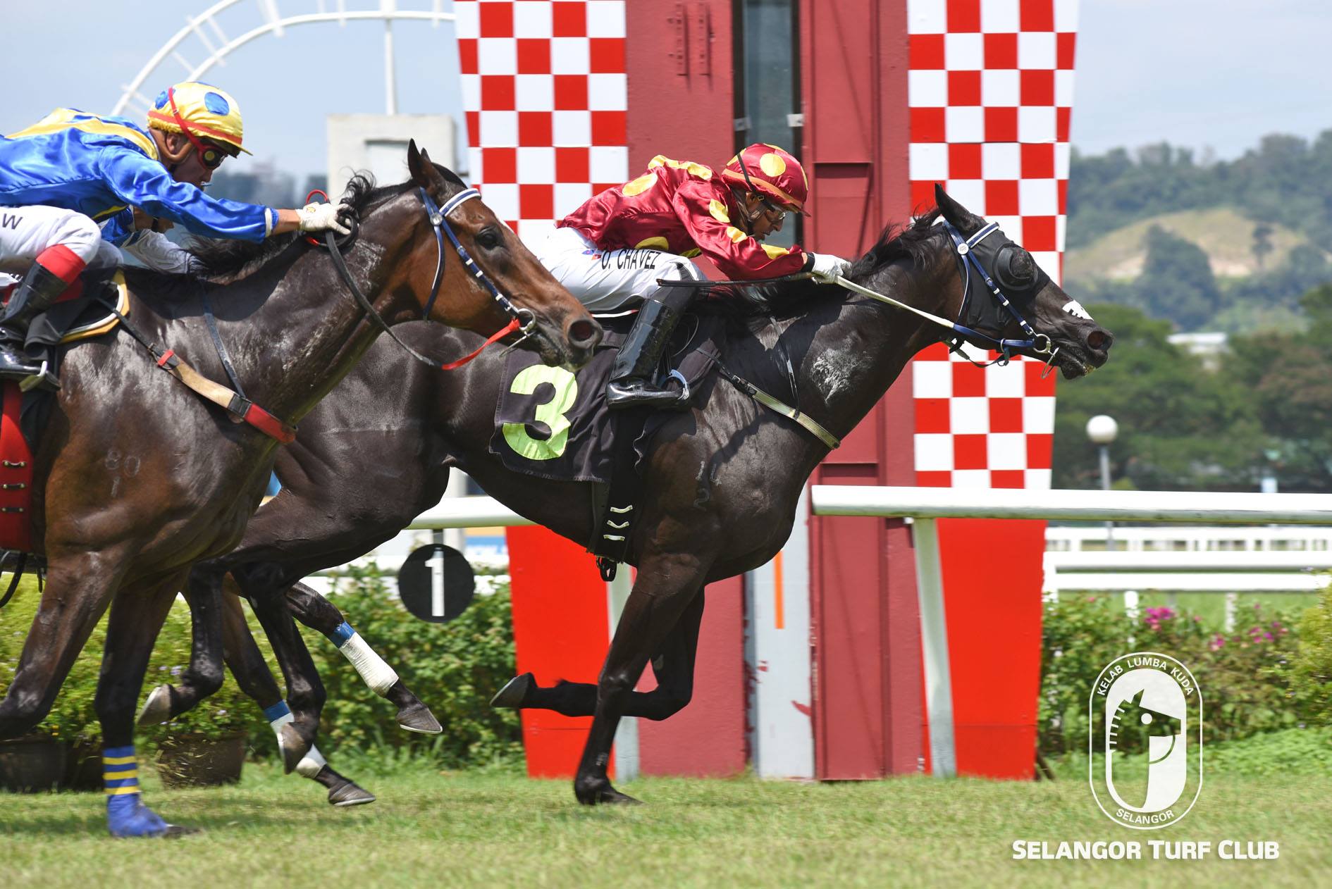 Tuesday Trackwork Highlights – 14 May 19  Selangor Turf Club