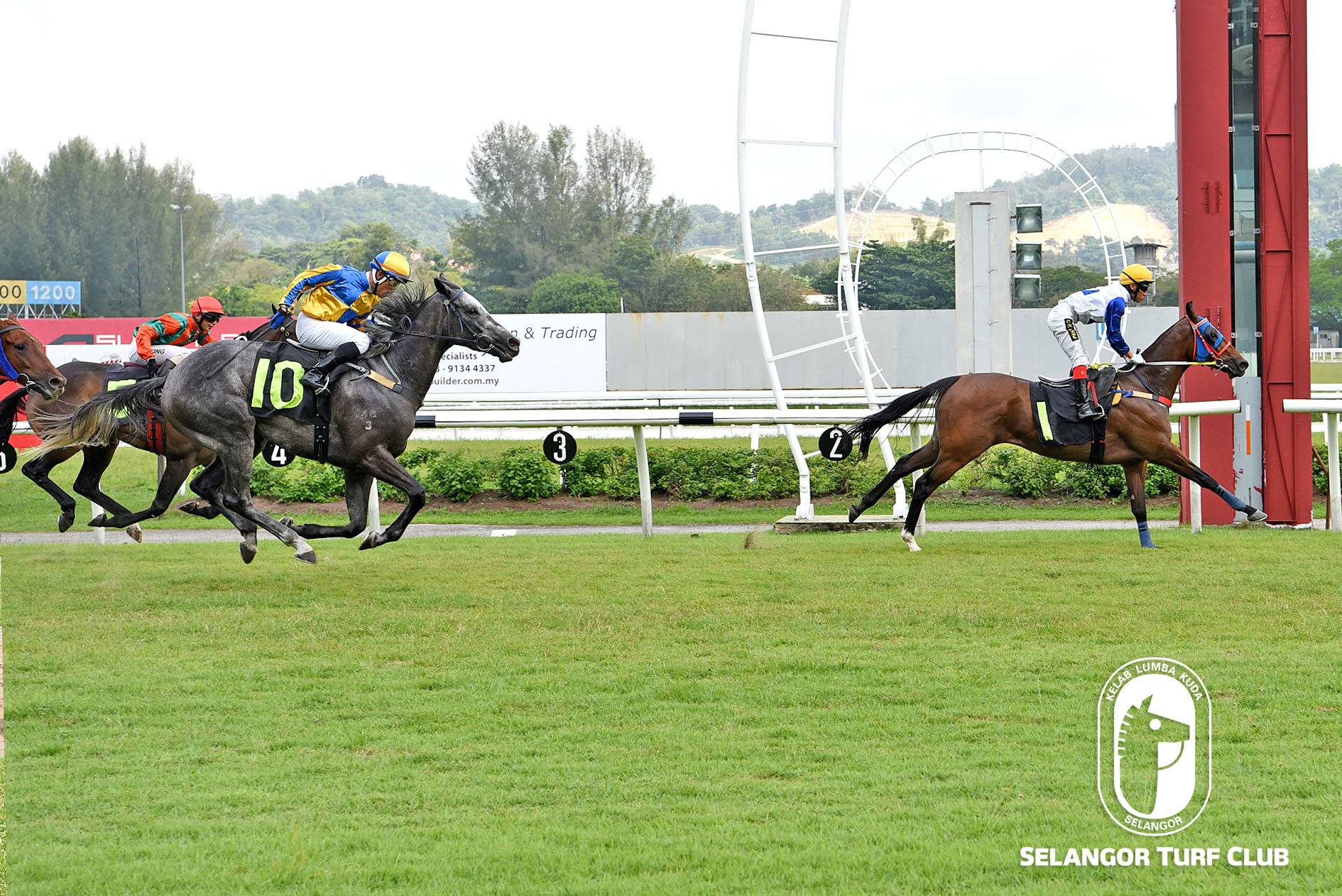 Blood Royal Selangor Turf Club