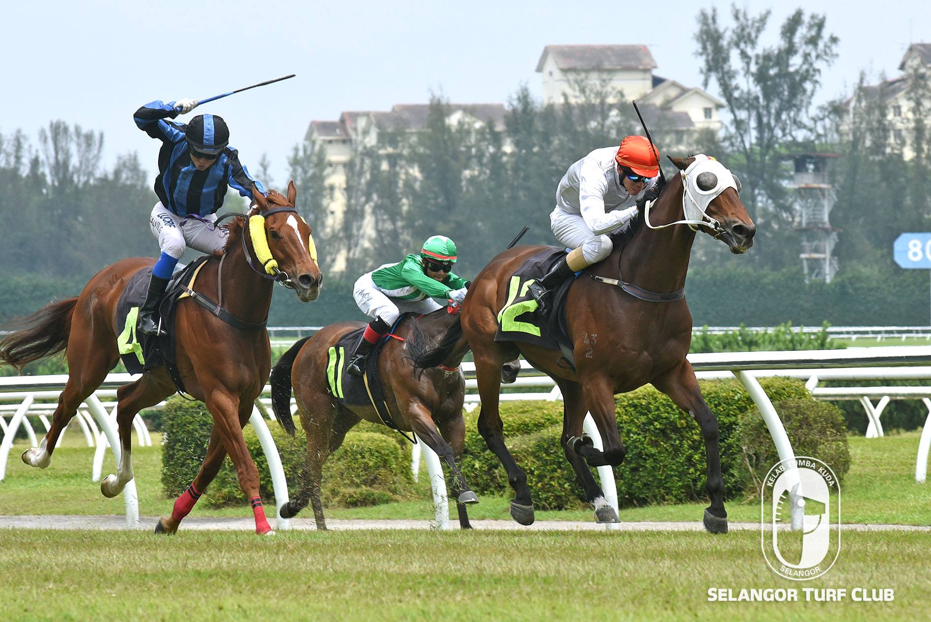 FLYING SHADOW | Selangor Turf Club