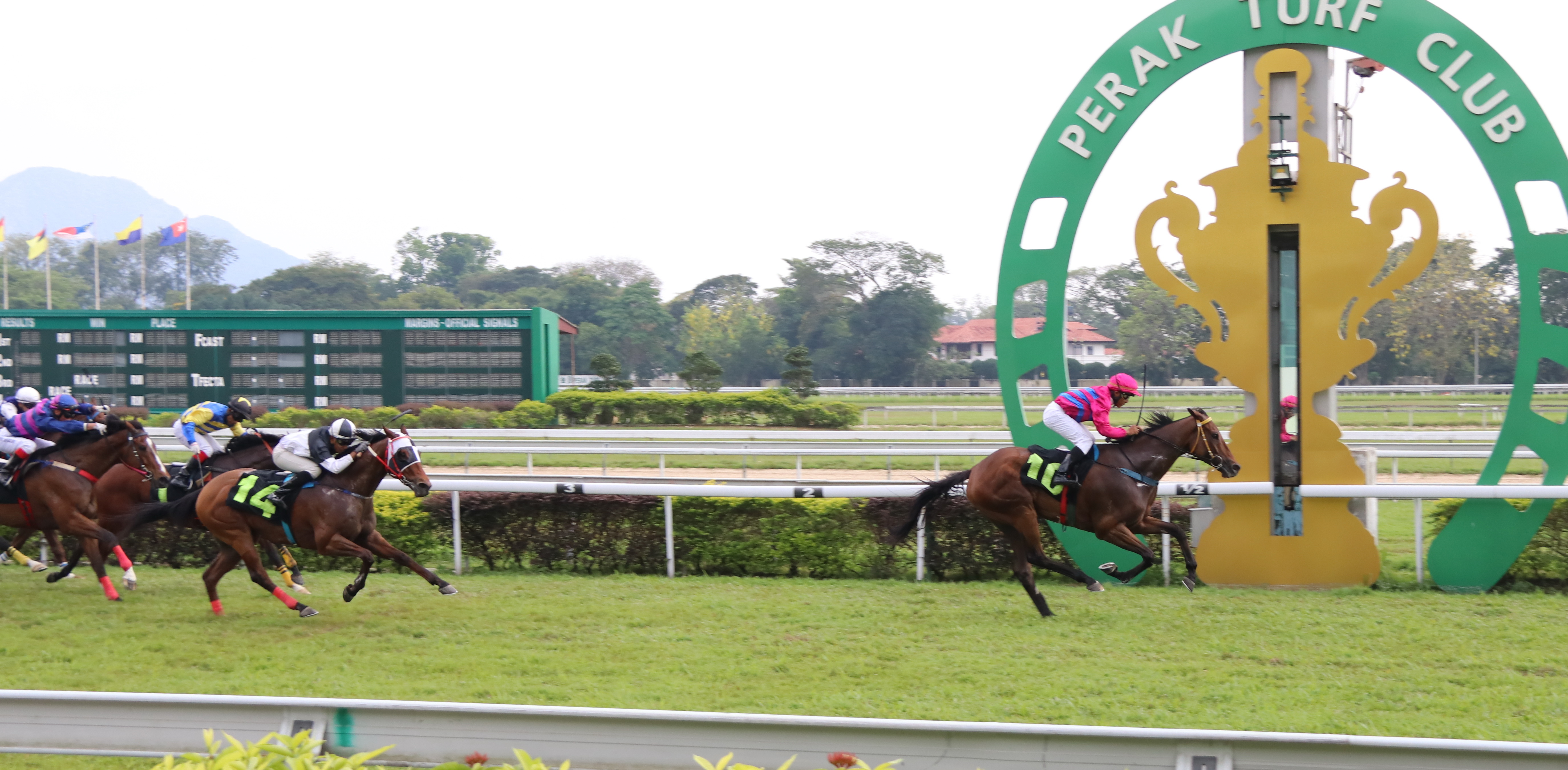 NOVA DASHING  Selangor Turf Club