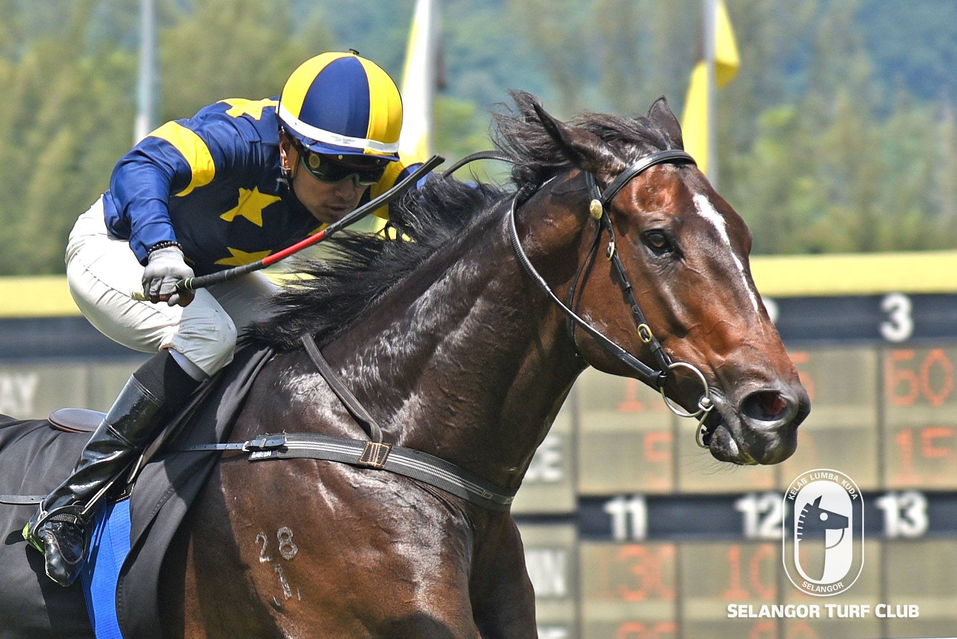 SAND BANK  Selangor Turf Club