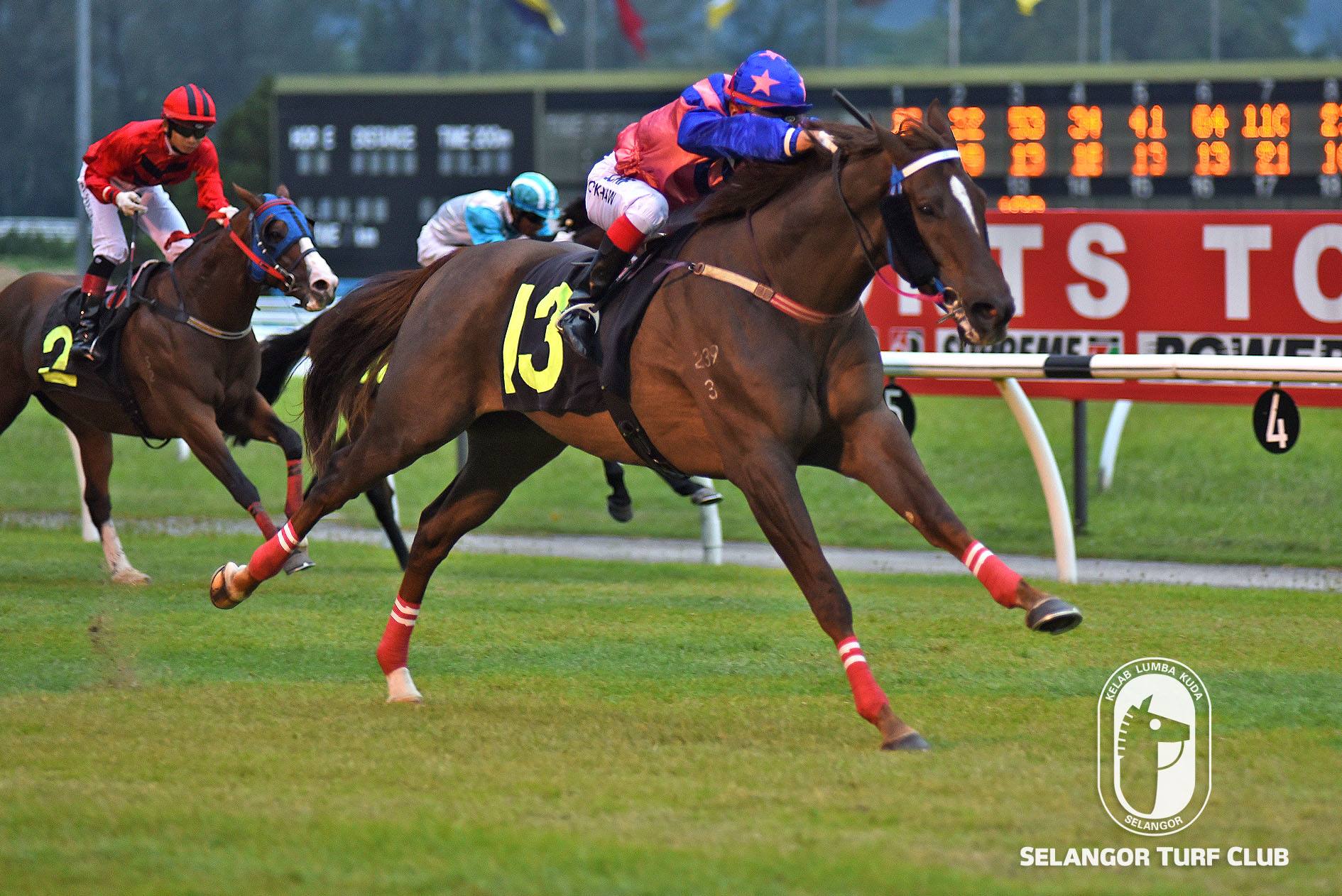 TAIL SPIN  Selangor Turf Club