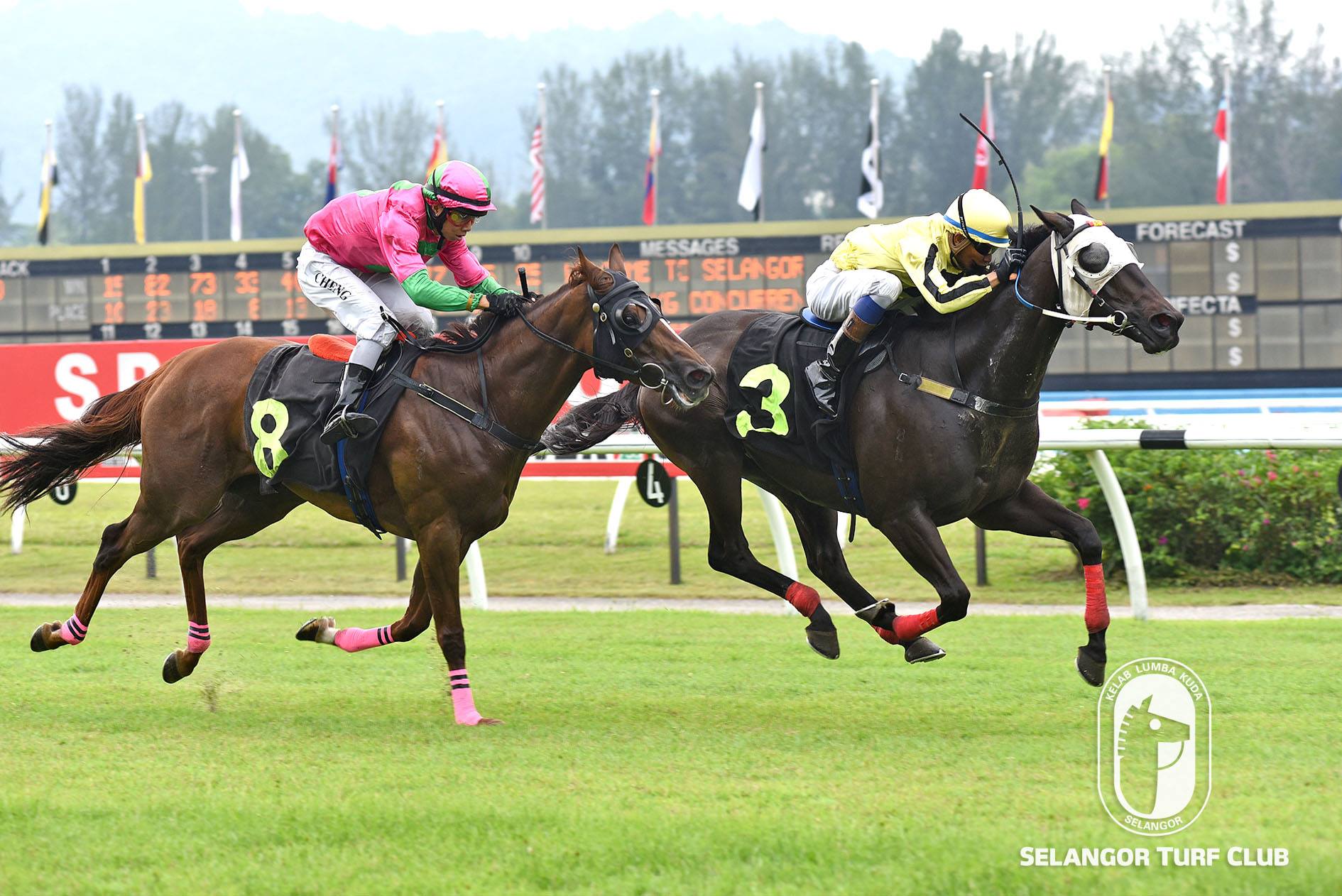 VOLANTE GENERAL  Selangor Turf Club