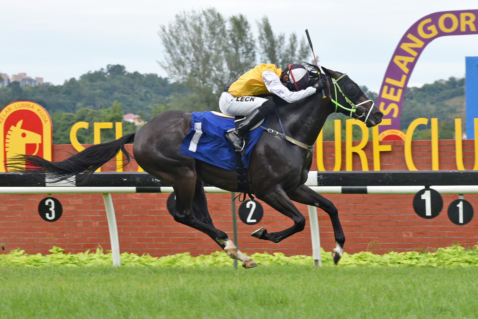 Awesome Storm bounces back to his best | Selangor Turf Club