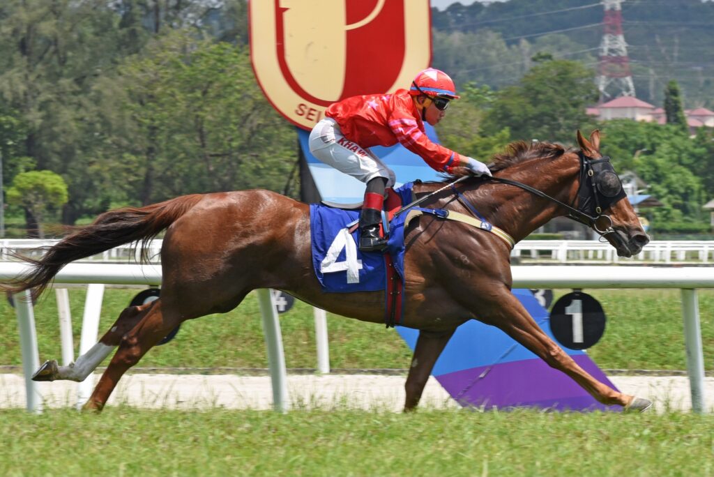 Bang-in-form Starboy set to make it three on the bounce | Selangor Turf ...