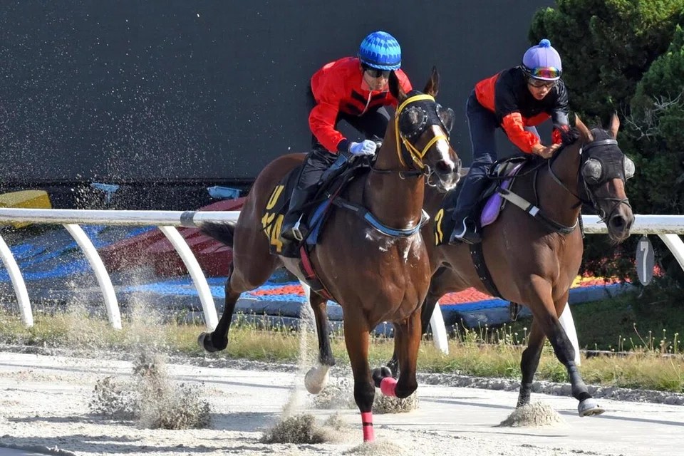 Kim Empire in splendid form | Selangor Turf Club